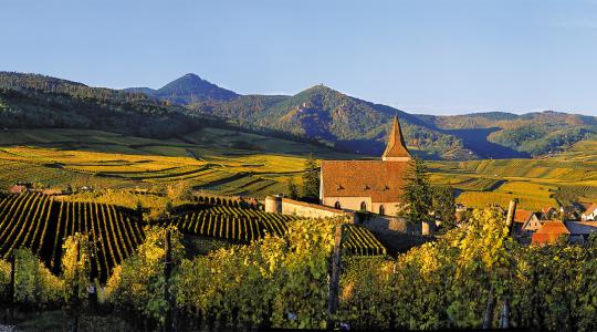 Alsace