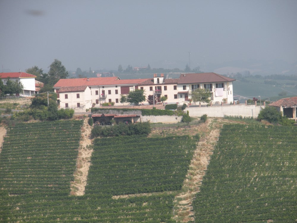 Roberto Ferraris