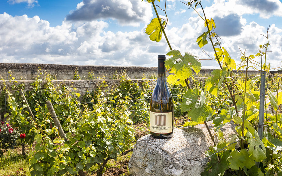 Château de Parnay Clos d'Entre Les Murs