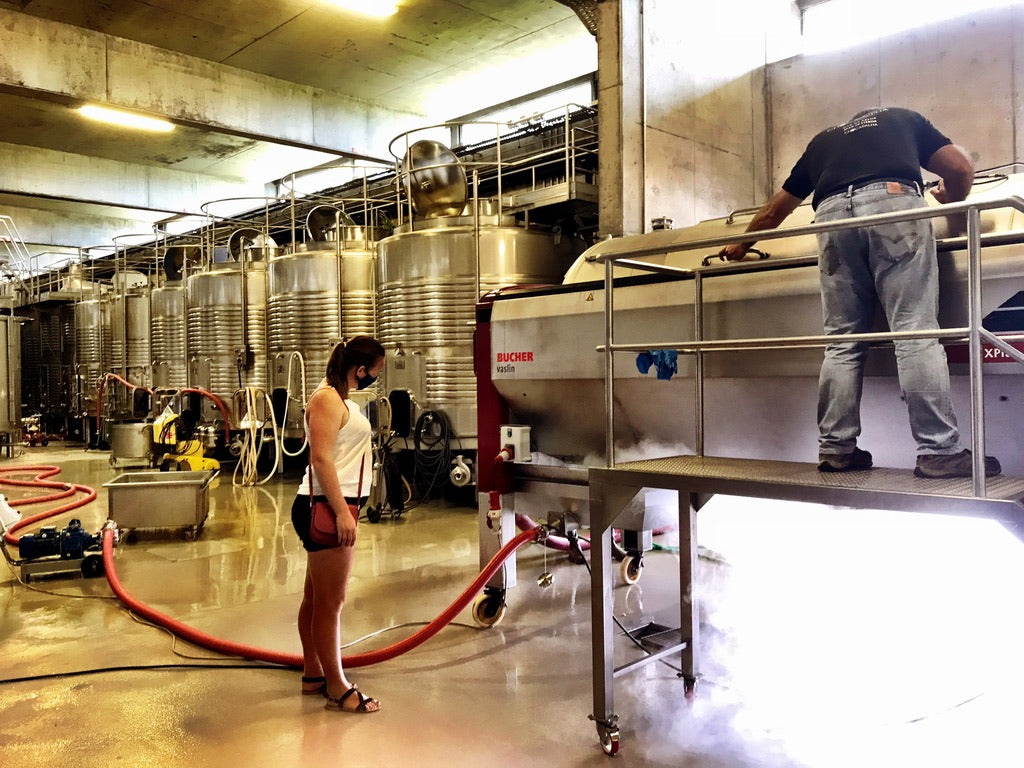 Quinta de Chocapalha Sauvignon Blanc Lisboa