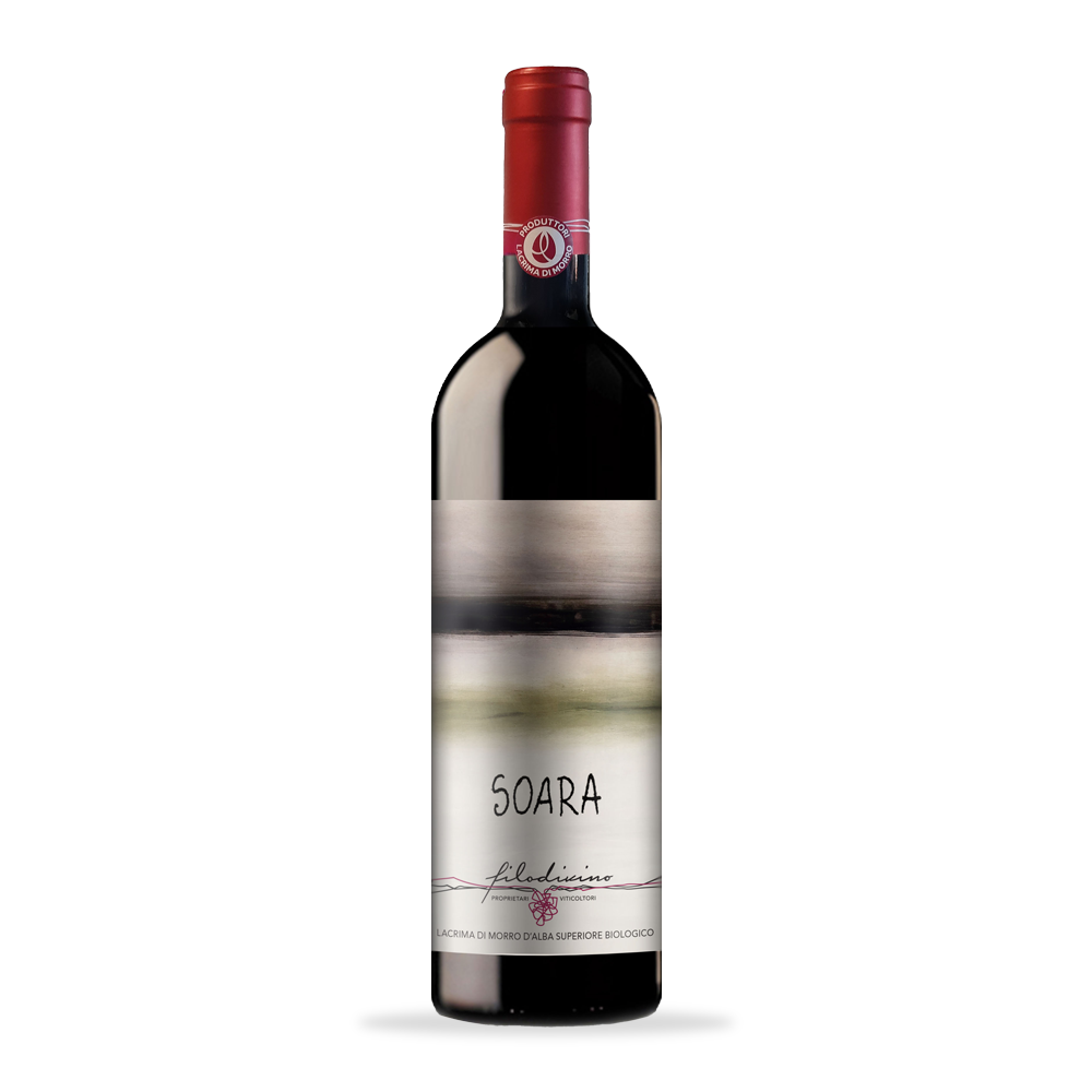 Filidivino Lacrima di Morro d'Alba Superiore Soara
