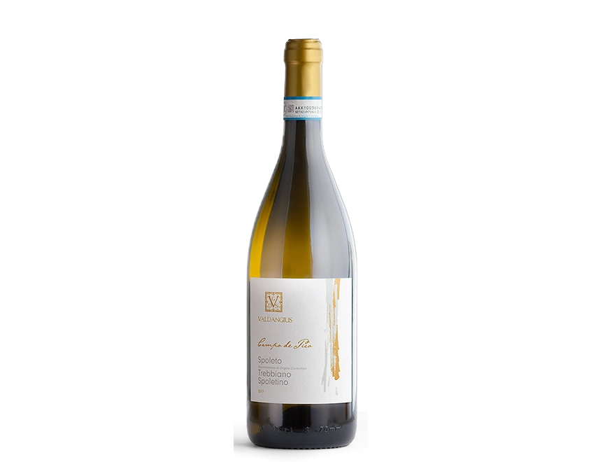 Valdangius Spoleto Trebbiano Campo de Pico